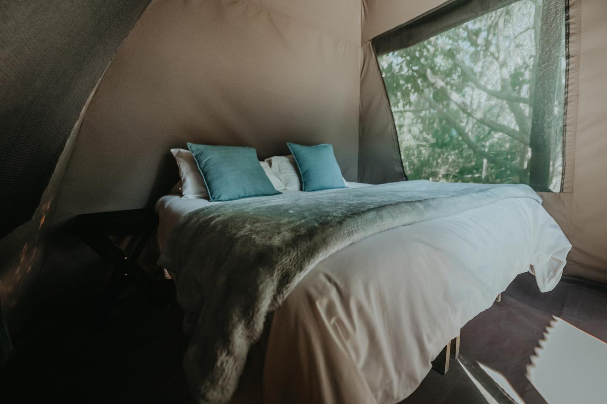 Storms River Forest Lodge Стормсривер Экстерьер фото