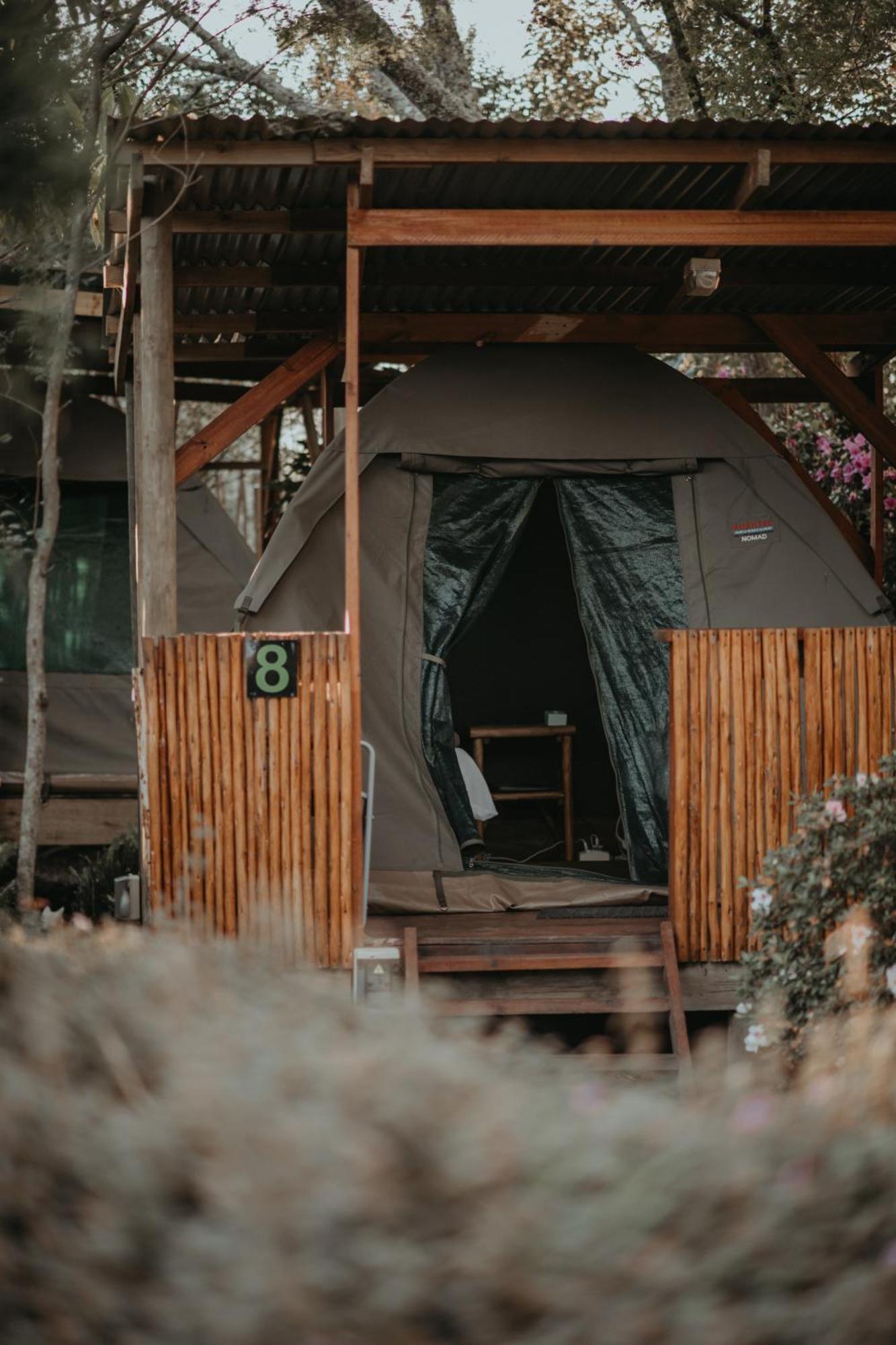 Storms River Forest Lodge Стормсривер Экстерьер фото