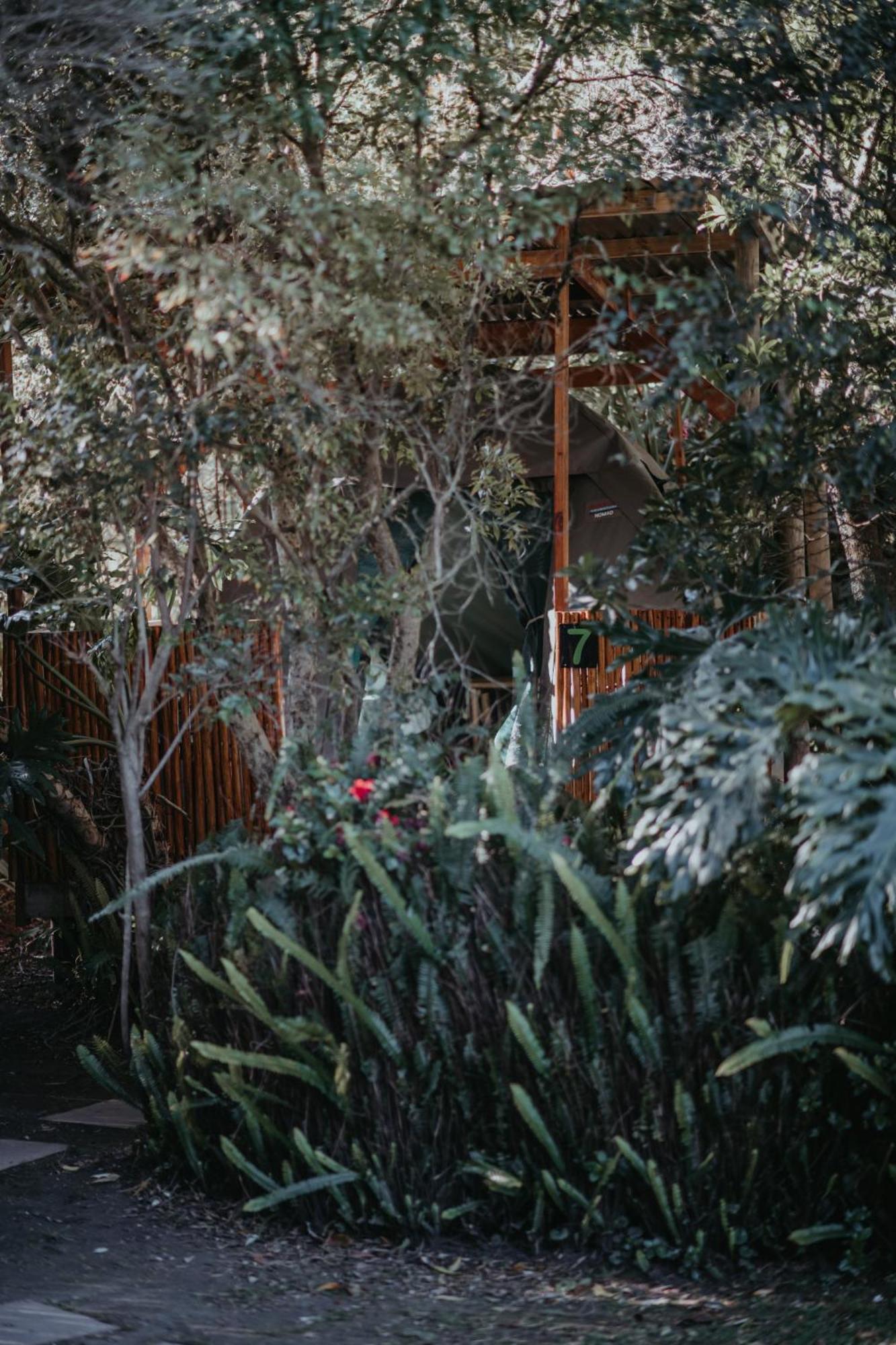 Storms River Forest Lodge Стормсривер Экстерьер фото