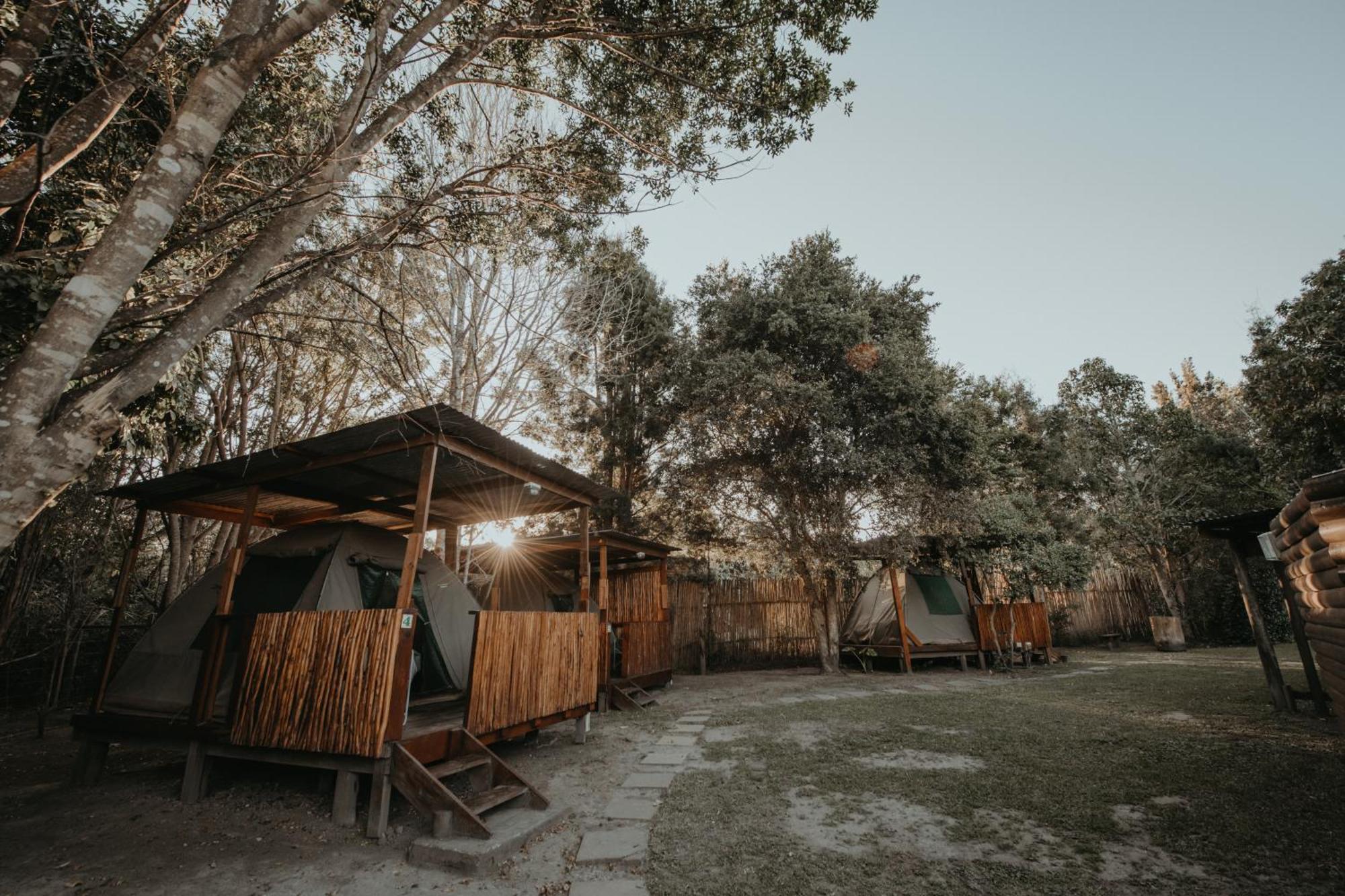 Storms River Forest Lodge Стормсривер Экстерьер фото
